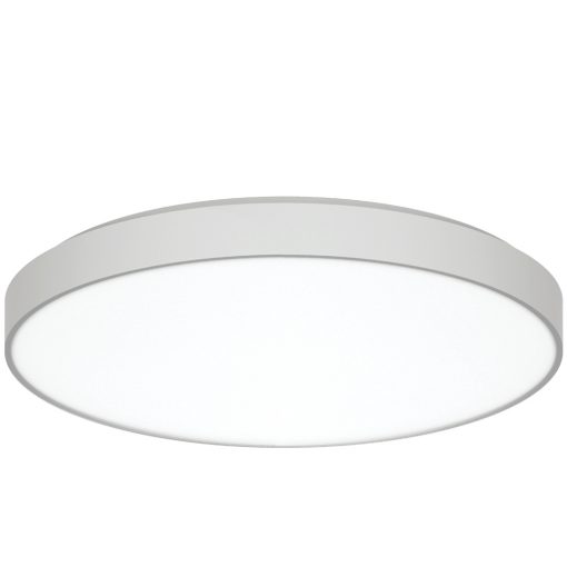 DISCUS_n2