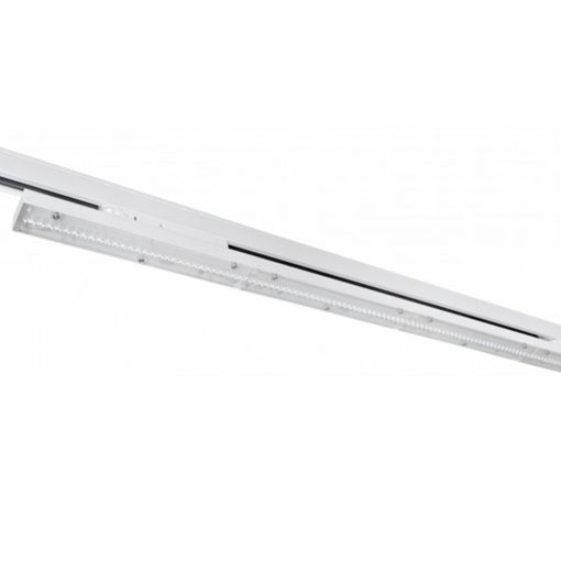 LINEO LENS TRACK_01_n